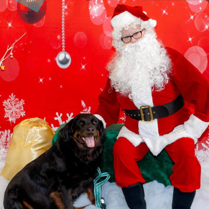 Enlarge NELLY, a Adoptable mixed breed in Morgan Hill, CA image 10/12