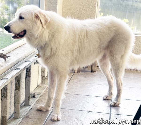 Sky in GA - Adores Getting Attention!