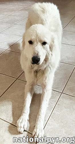 Sky in GA - Adores Getting Attention!