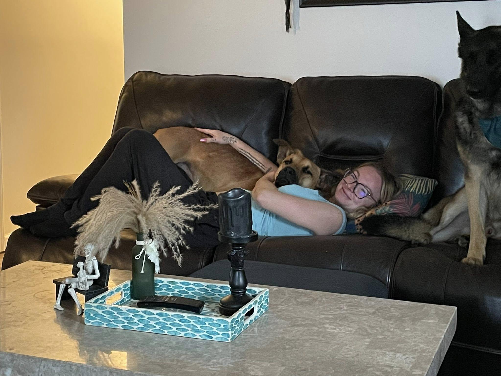 Jurgen, a Adoptable mixed breed in gibbstown, NJ image 3/5