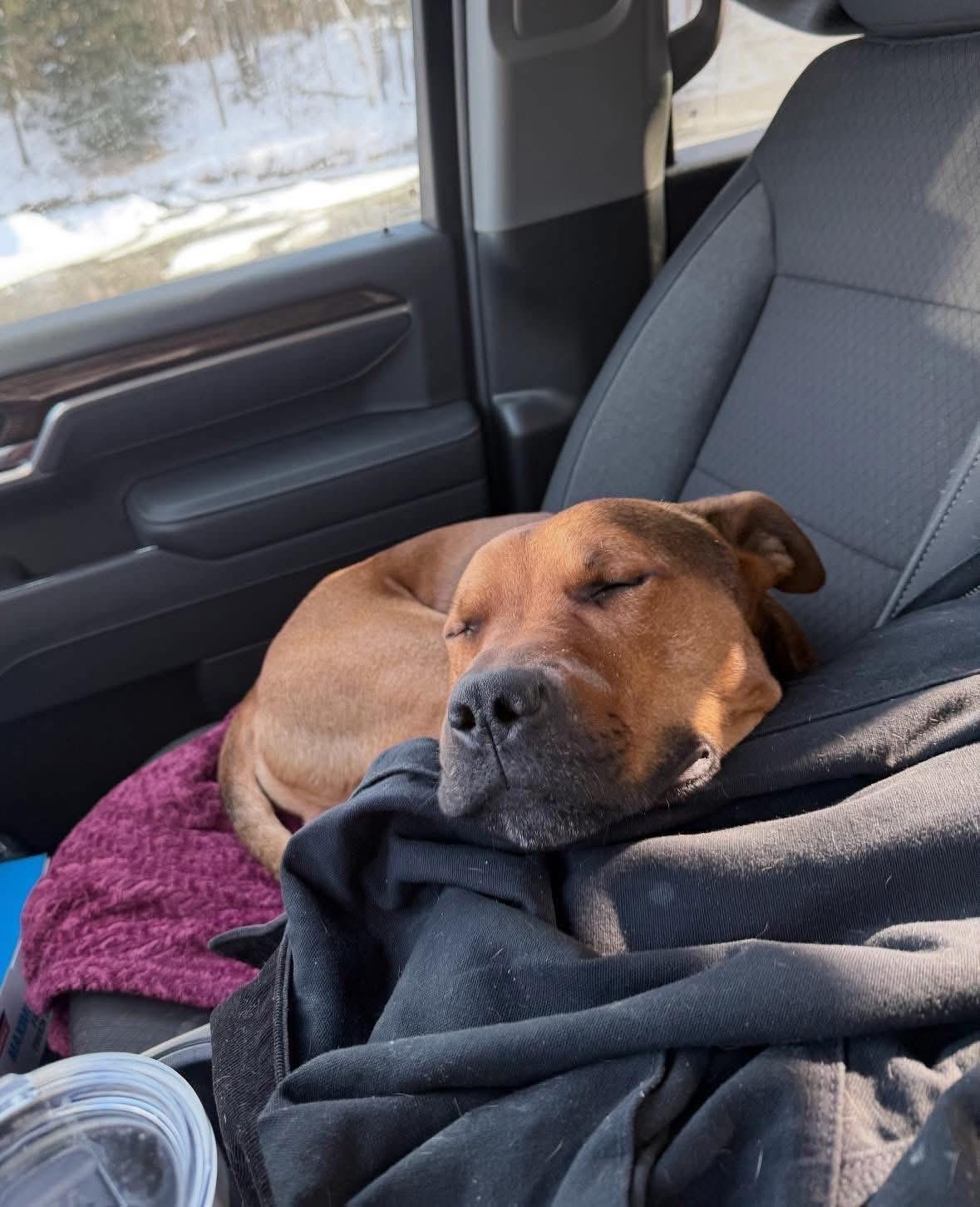 Boone *in New England — thumbnail 3