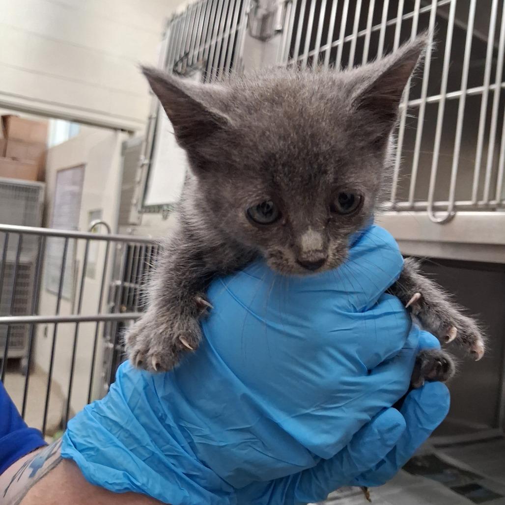 Maysilee photo
