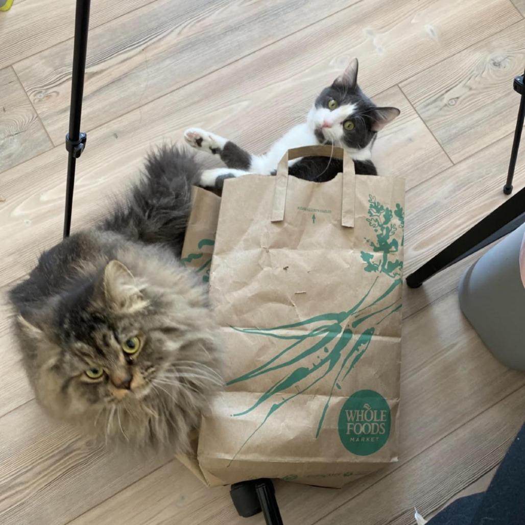 Rumi C63492 bonded w/Neville — thumbnail 2