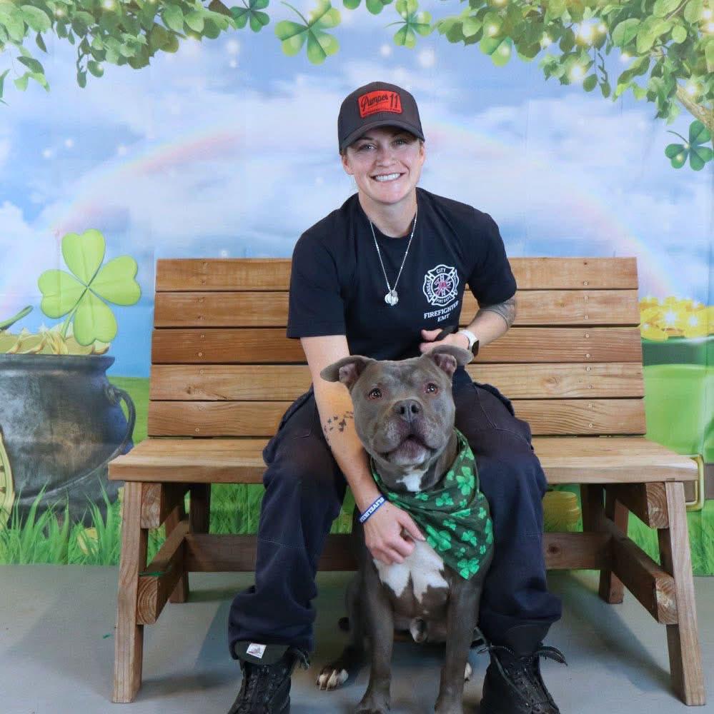 Enlarge Owen (AO34224), a Adoptable mixed breed in Kansas City, KS image 2/6