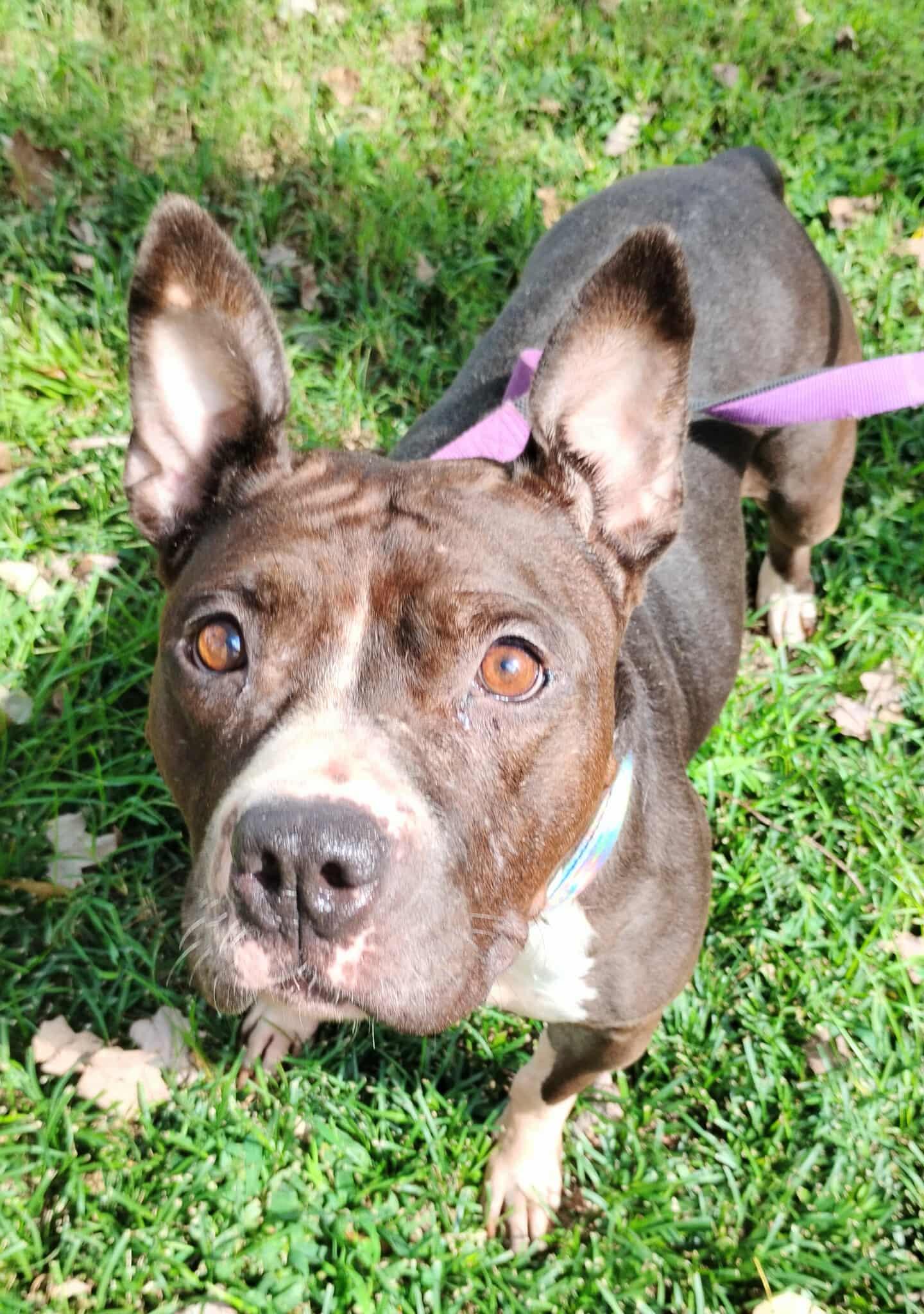 MIsty — thumbnail 4