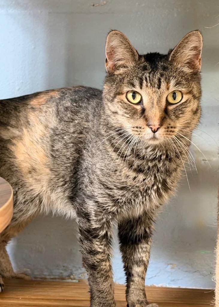 Lil Bit — thumbnail 2