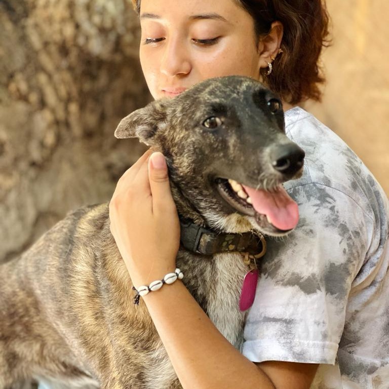 Lola, a Adoptable mixed breed in Las Jarretaderas, NAY image 5/6