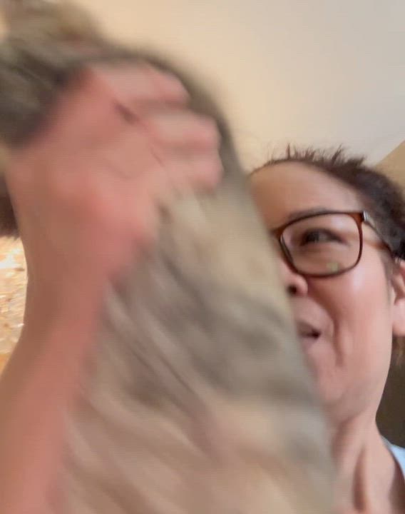 Enlarge LunaZi - Walter USA, an adopted mixed breed in Brampton, ON video 6/6