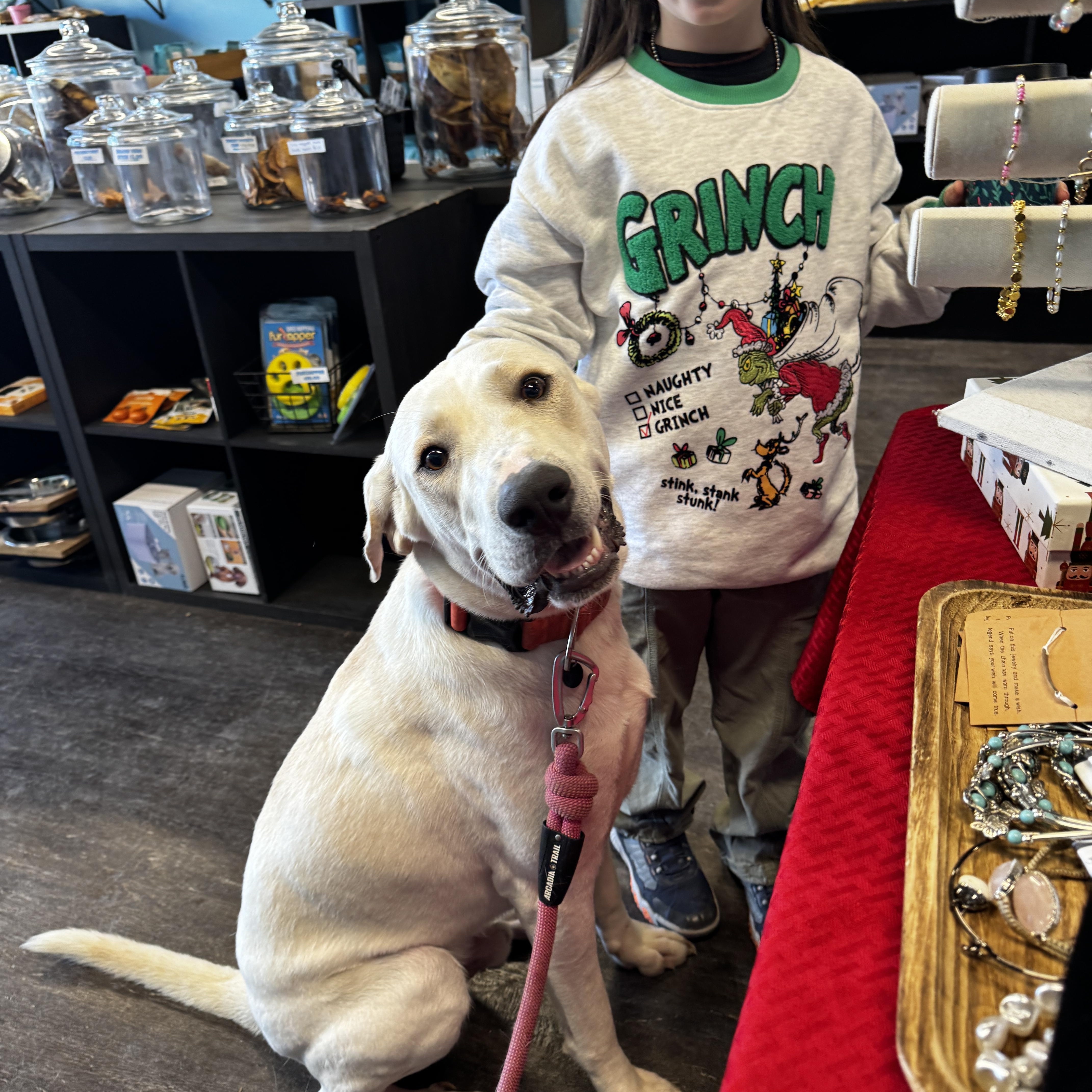 Enlarge Romeo, a Adoptable mixed breed in Kankakee, IL image 2/5