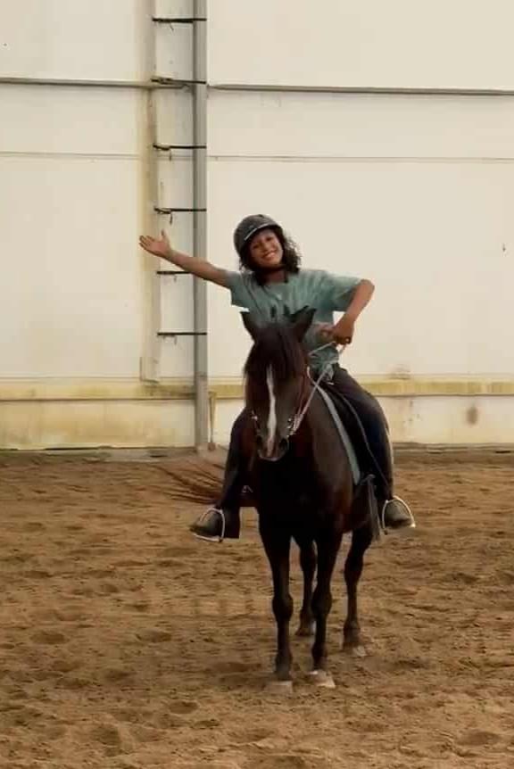 Enlarge Samson, a Adoptable mixed breed in Upper Sandusky, OH image 2/2