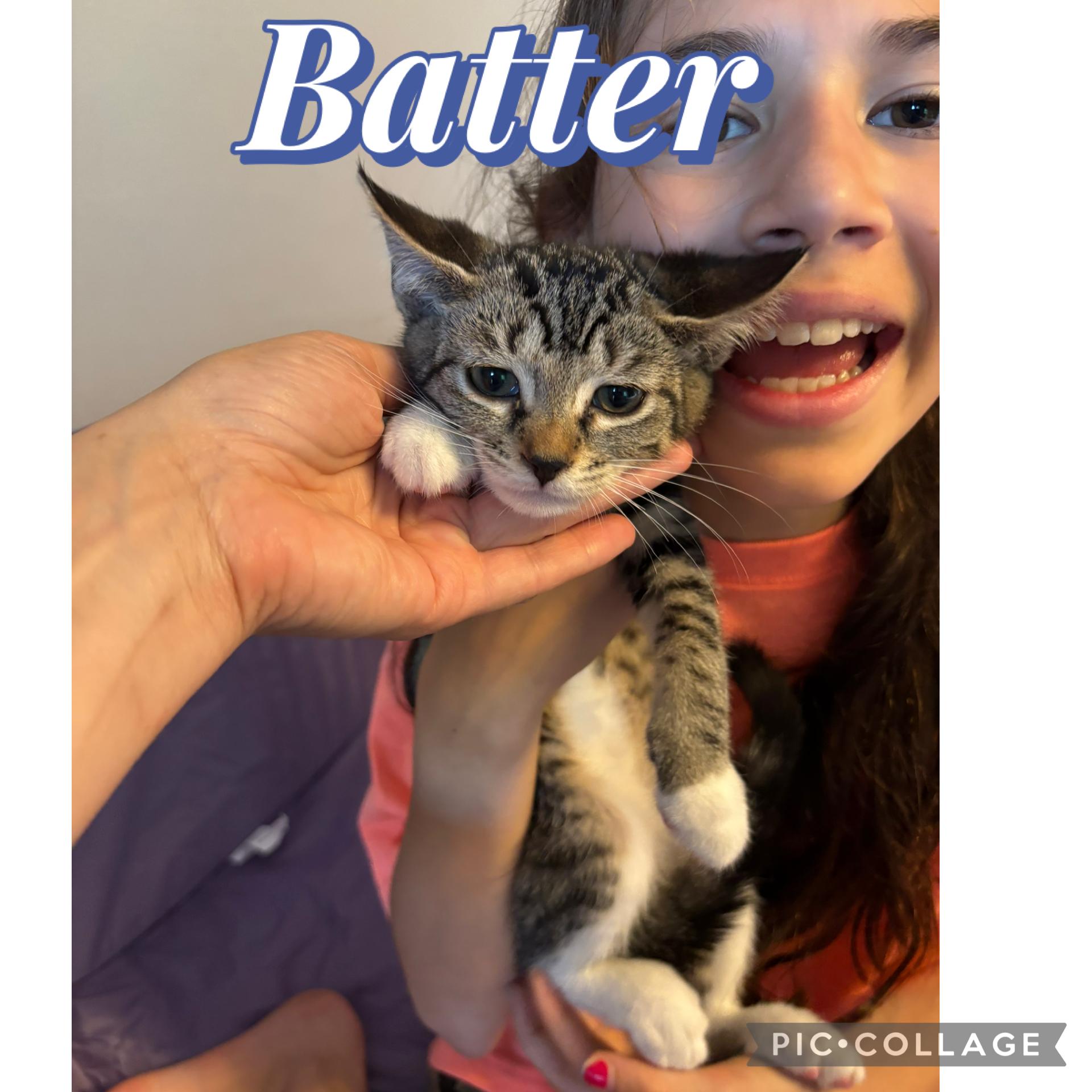 Macaroon and Batter