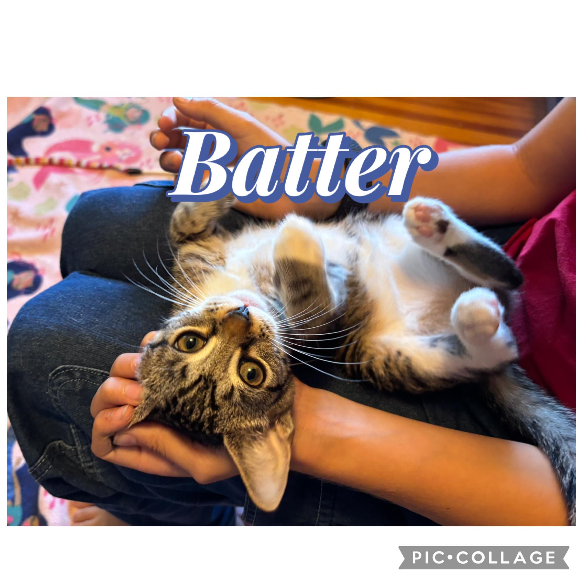 Macaroon and Batter, Baby Male unknown