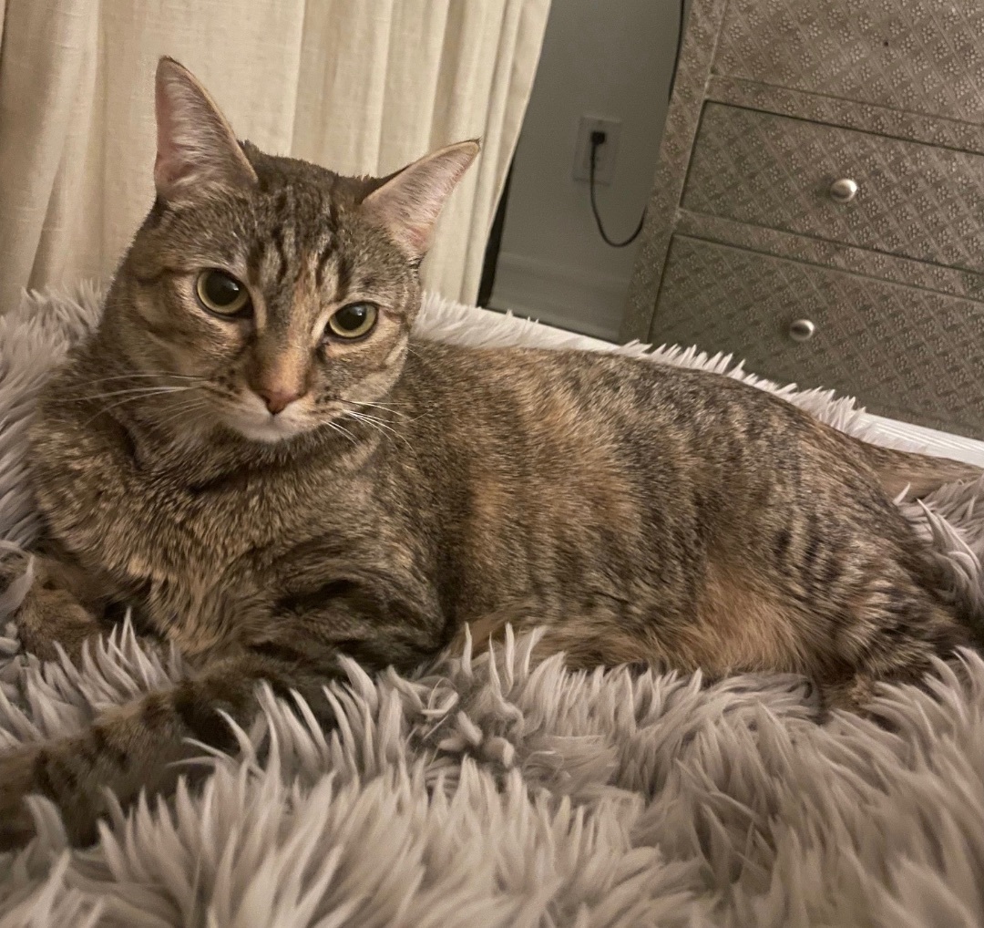 Hildi — thumbnail 2