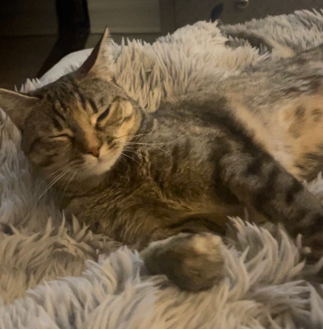 Hildi — thumbnail 4