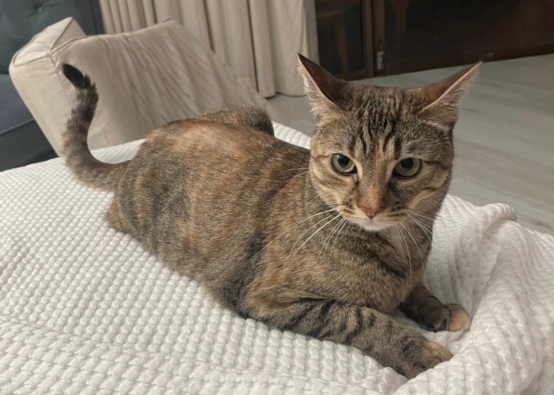 Hildi — thumbnail 5