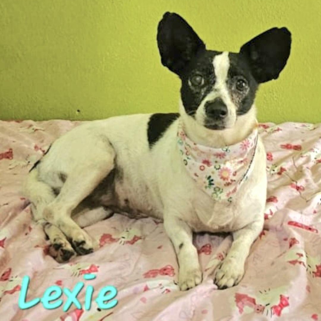 Lexie "a Confident Little thumbnail 4