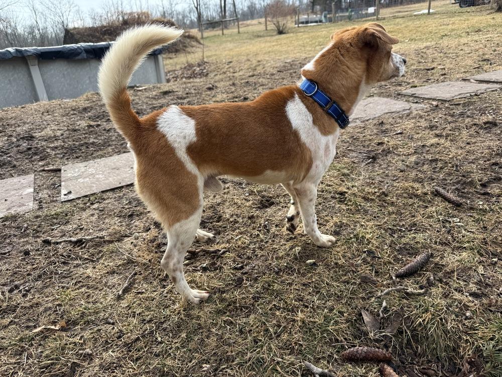 Sparky — thumbnail 2