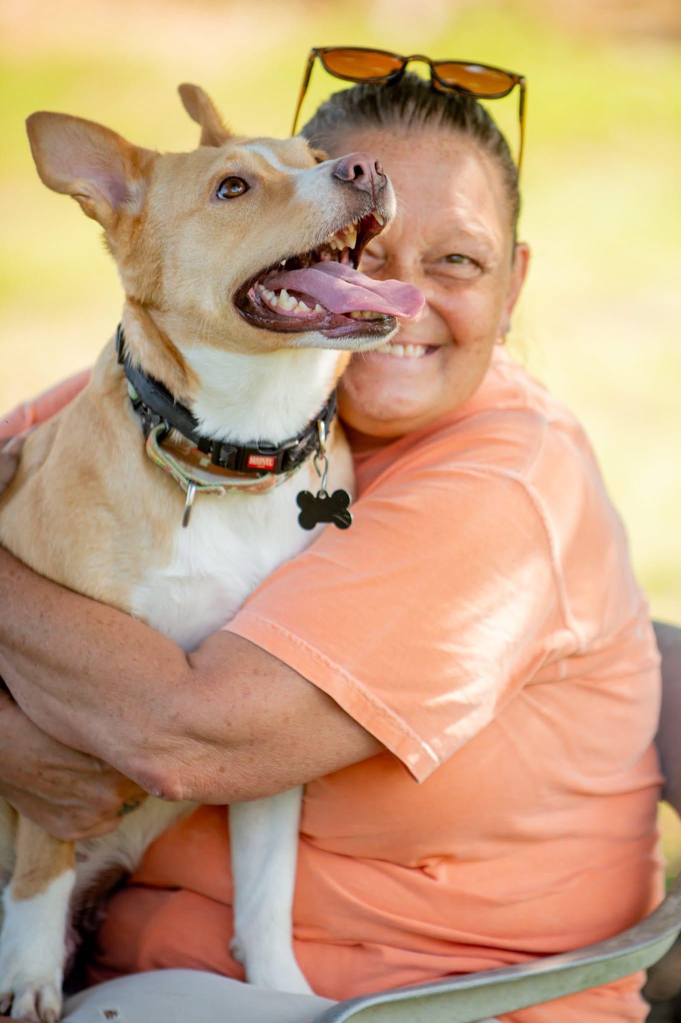 Enlarge Pepita, a Adopted mixed breed in Douglas, MA image 6/6