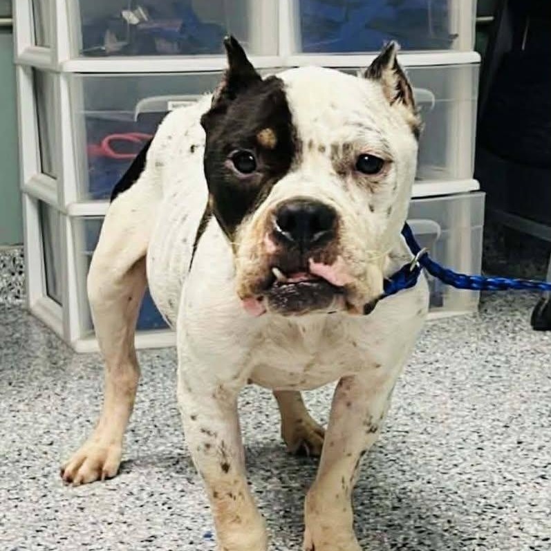 Hope (20260123-01) — thumbnail 2