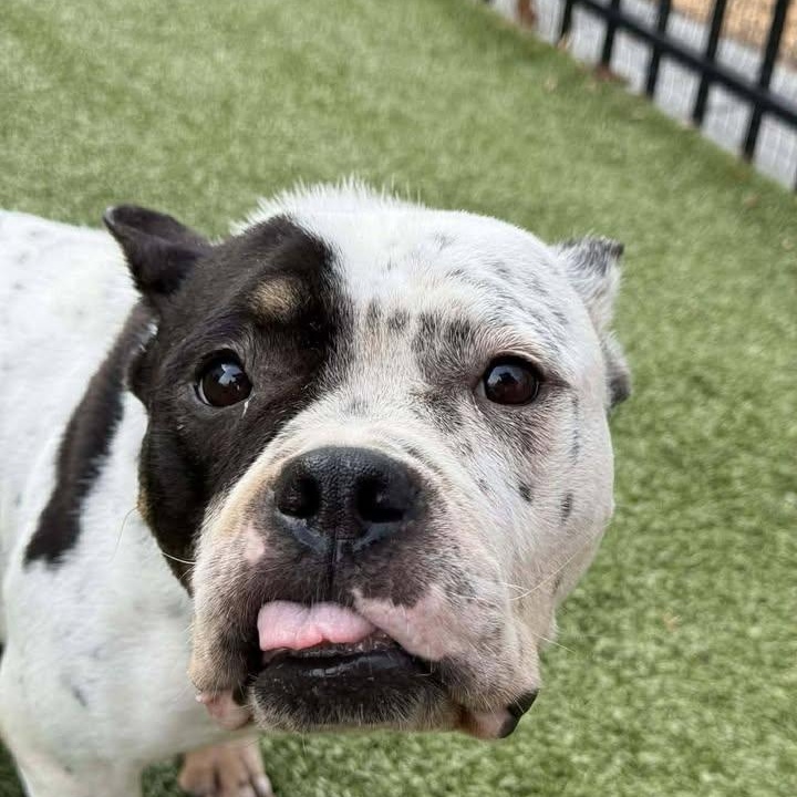 Hope (20260123-01) — thumbnail 3