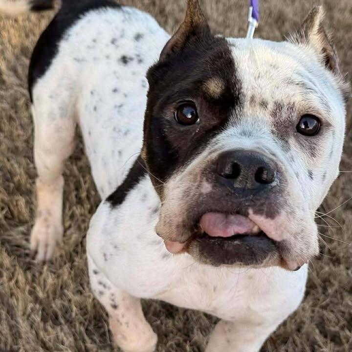 Hope (20260123-01) — thumbnail 4