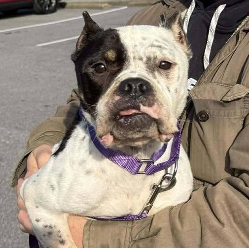 Hope (20260123-01) — thumbnail 5