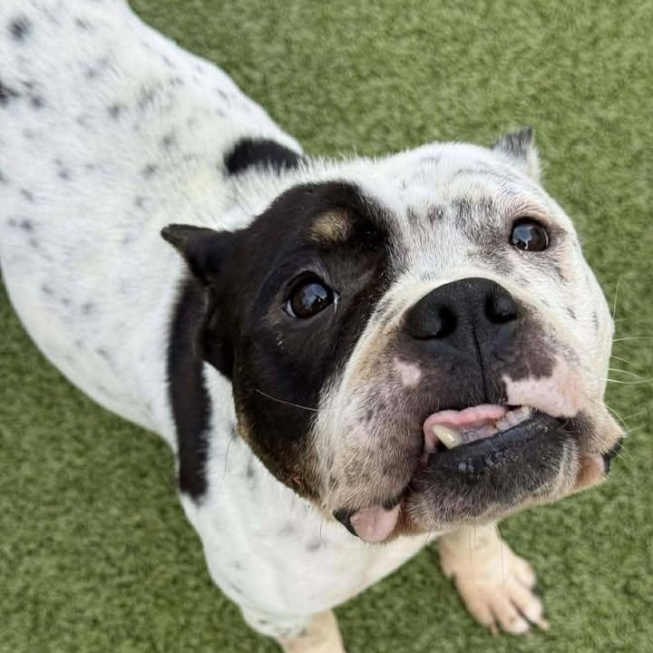 Hope (20260123-01) — thumbnail 6