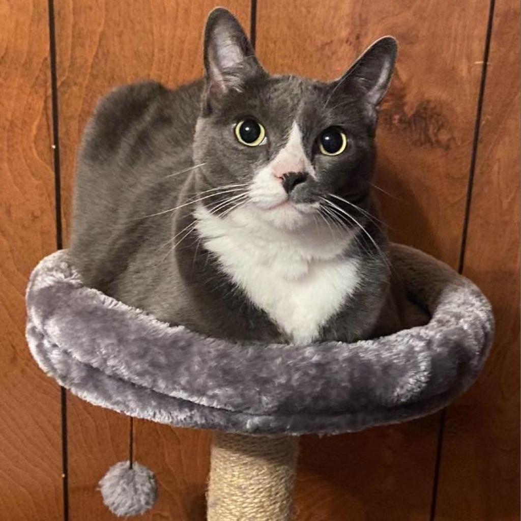 Sketti, Senior Female unknown