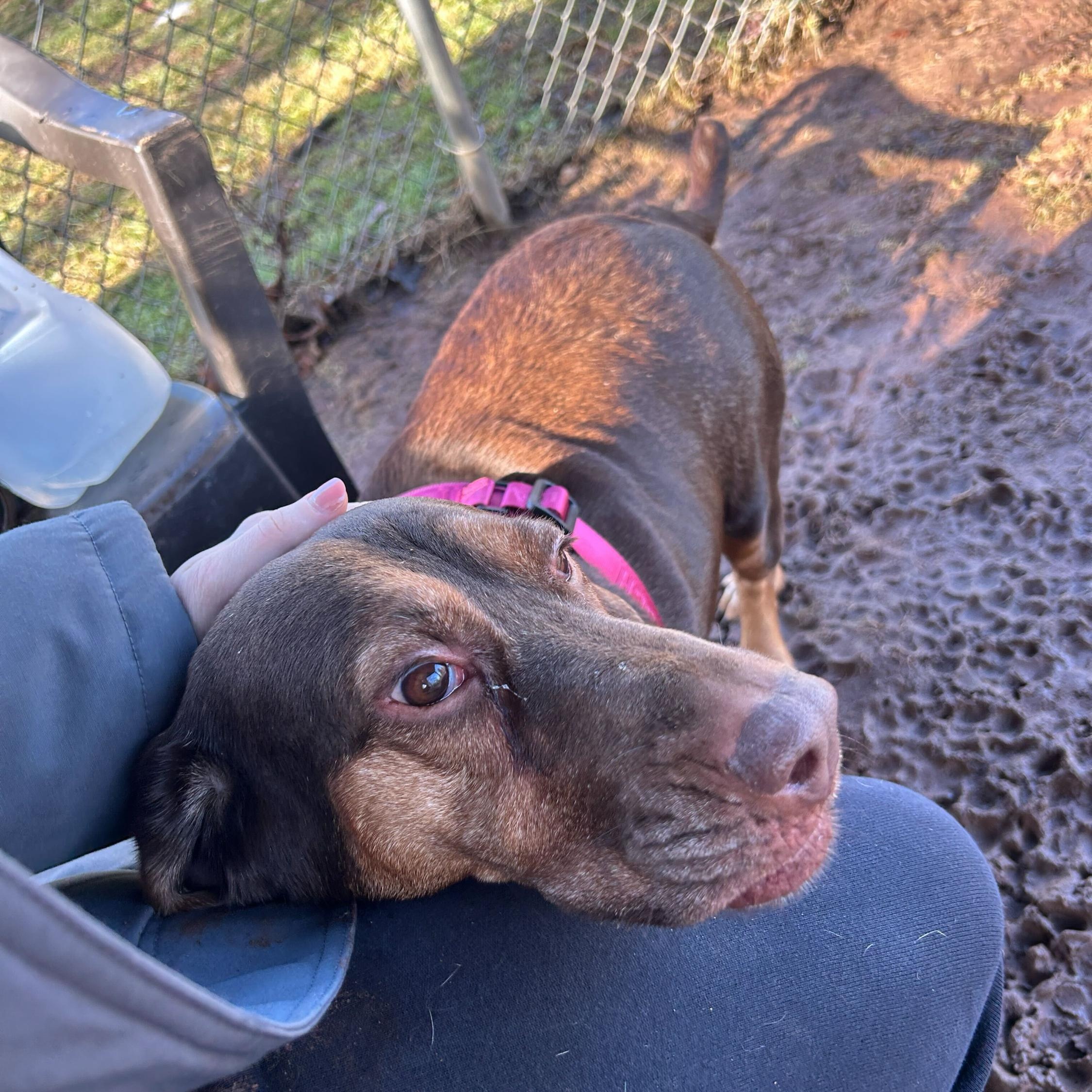 Francium thumbnail 3