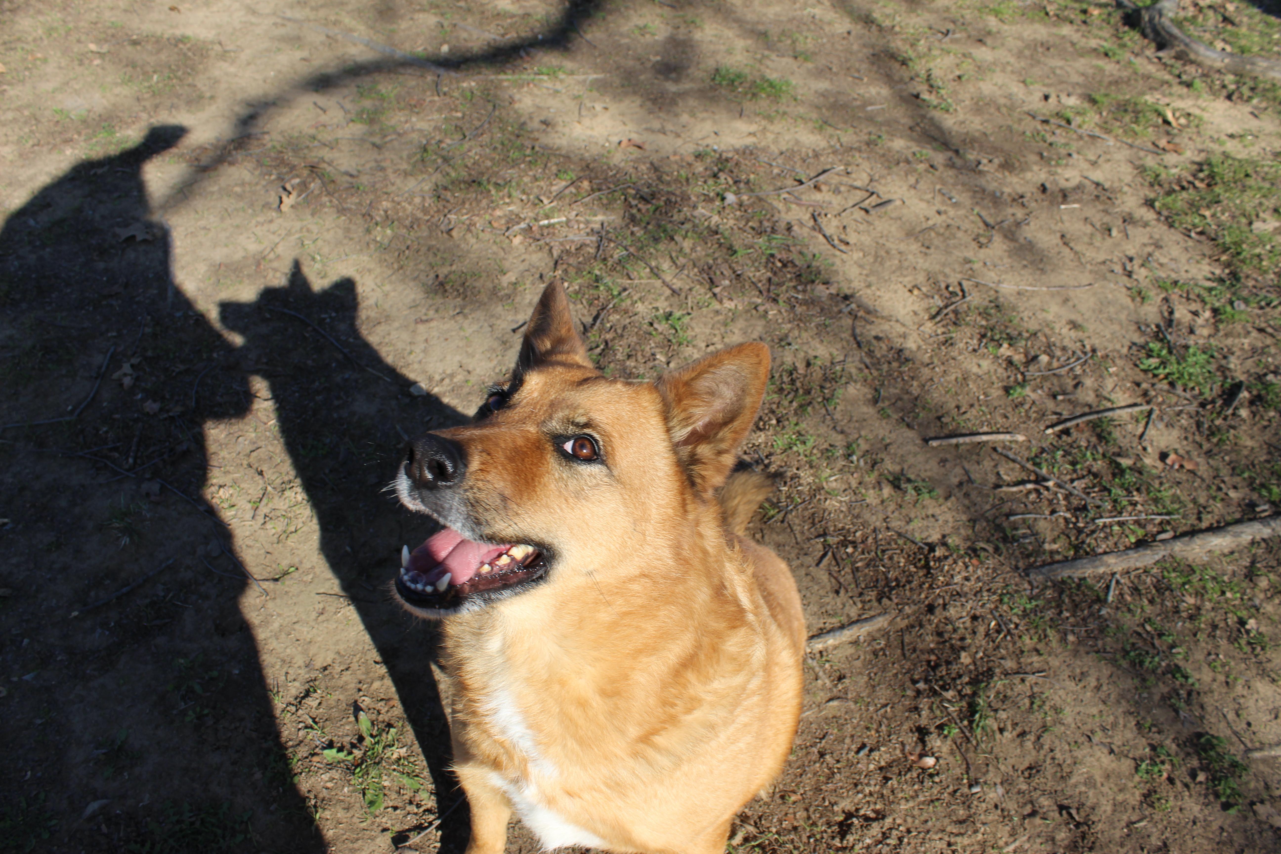 Chicki  Urgent Need thumbnail 2