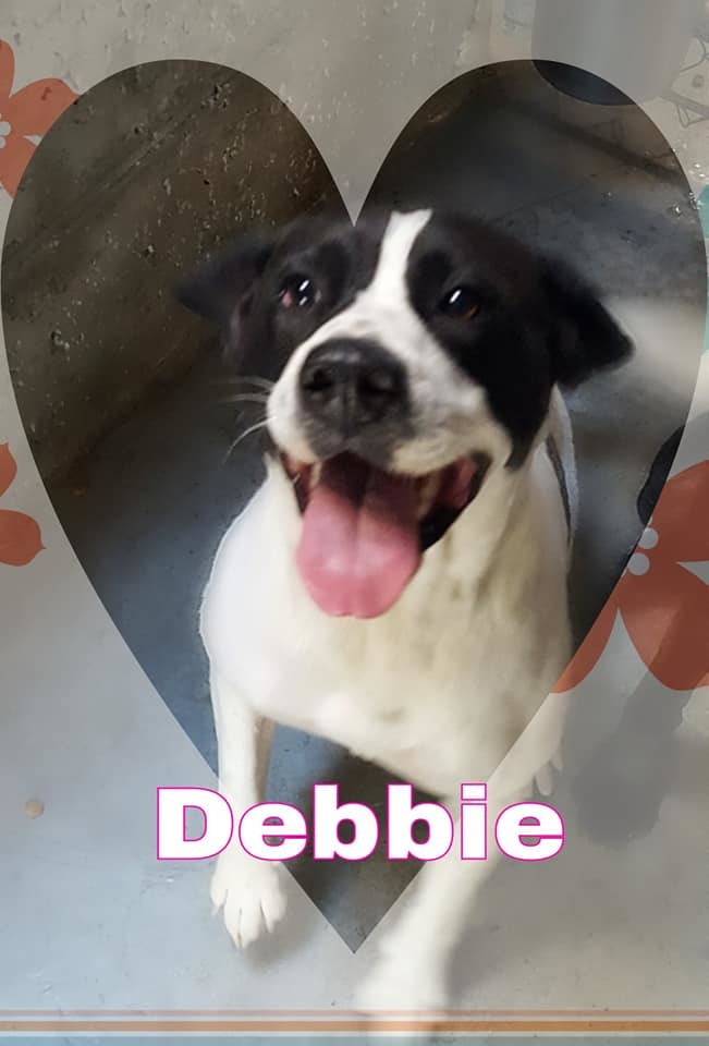 Debbie