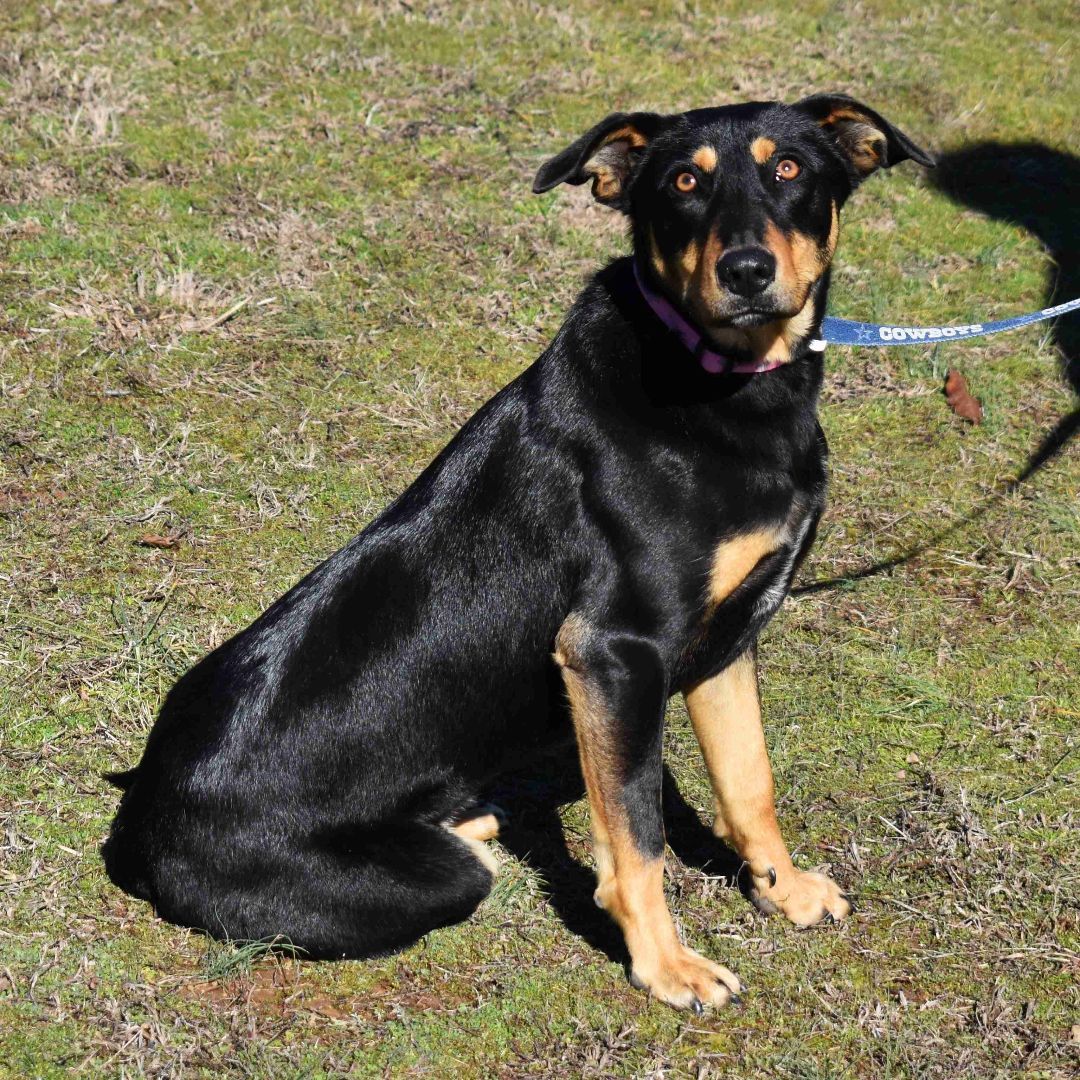 Ellie