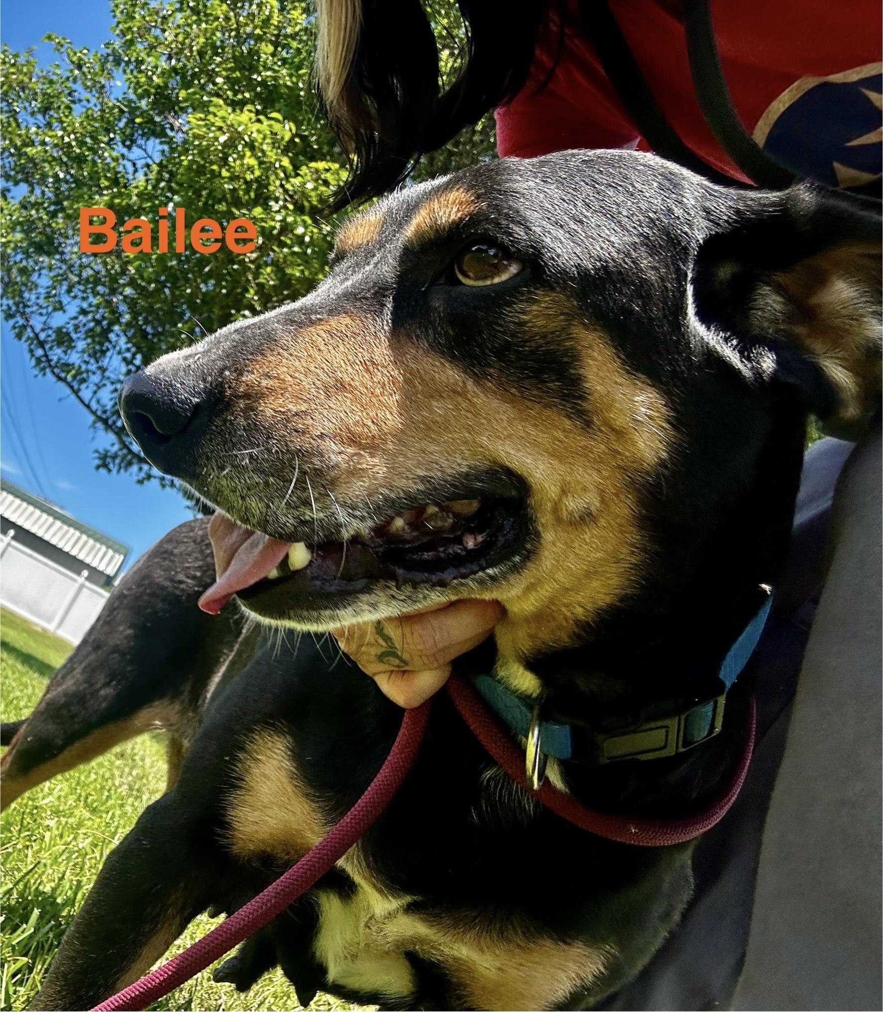 Bailey