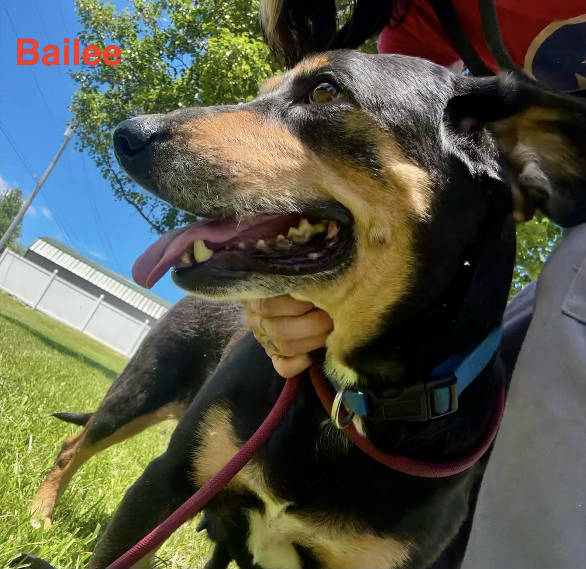 Bailey