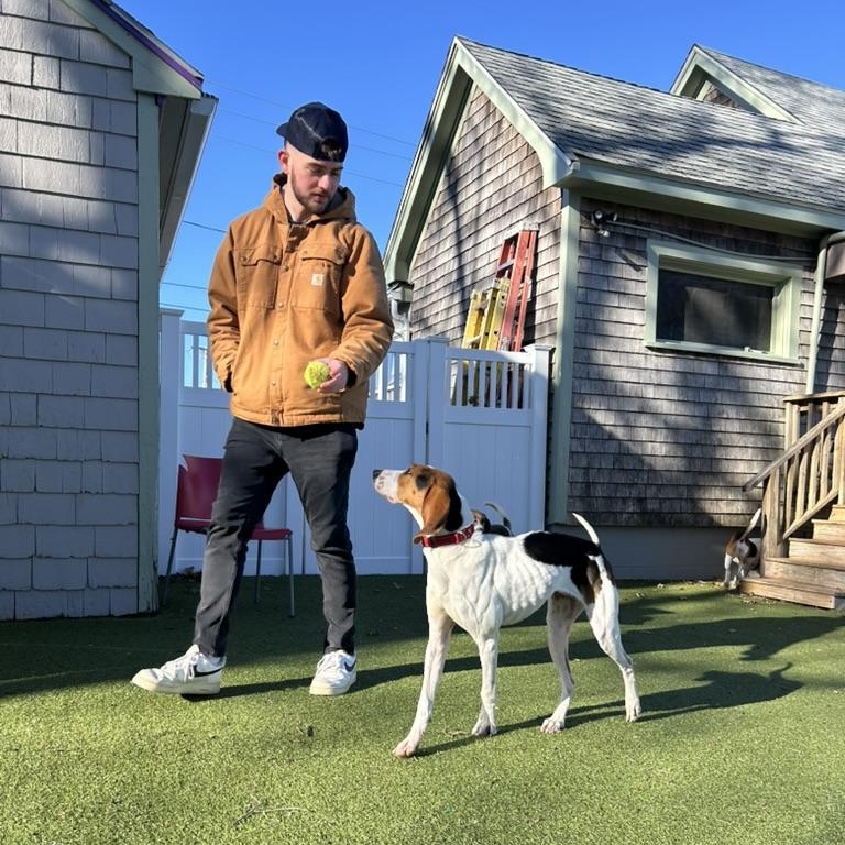 Oakey, a ADOPTABLE mixed breed in New Bedford, MA image 1/5