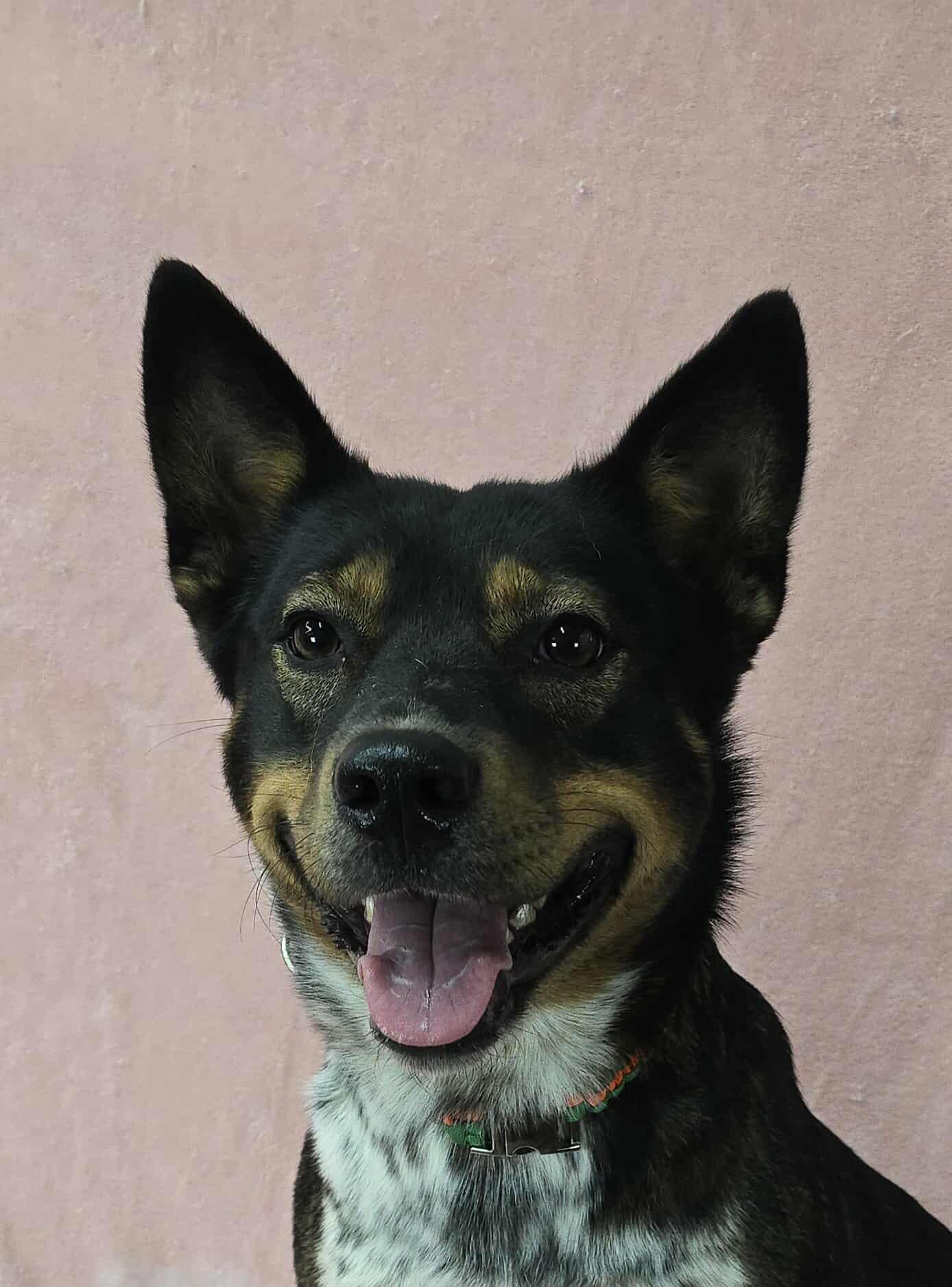 Ruby