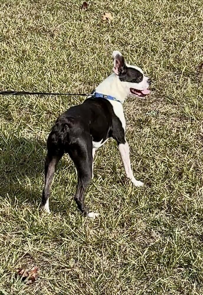 Phantom Zanecochran  Ga