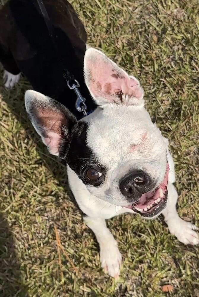 Phantom Zanecochran  Ga thumbnail 2