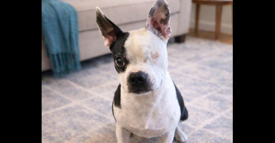 Phantom Zanecochran  Ga thumbnail 3