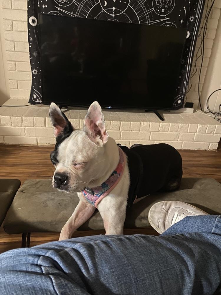 Phantom Zanecochran  Ga thumbnail 6