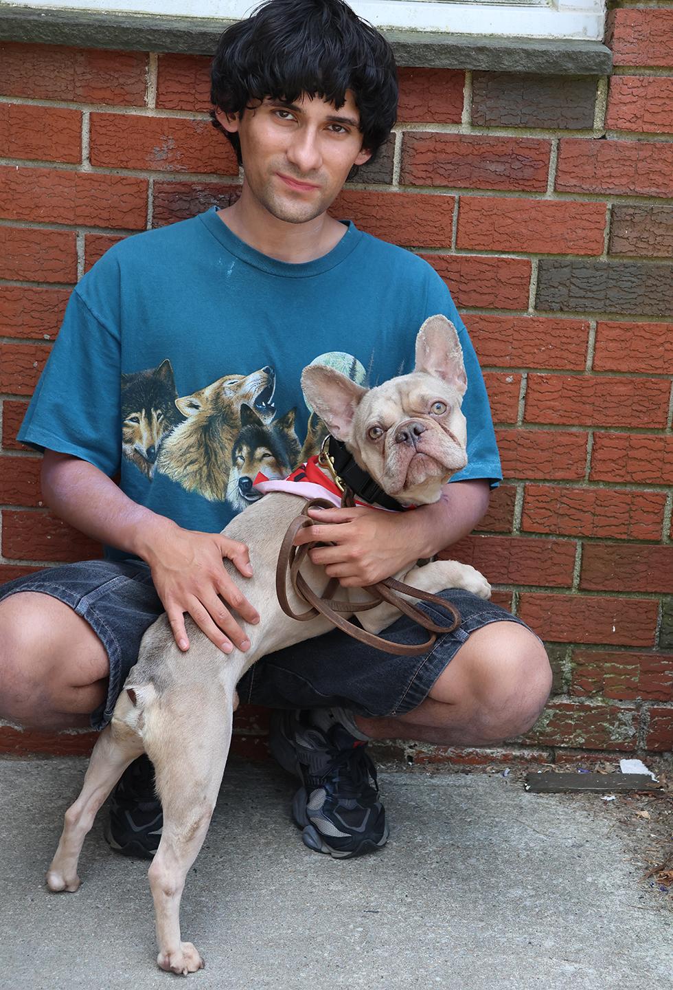 Chase, an adopted French Bulldog in Harrison, NY image 4/5