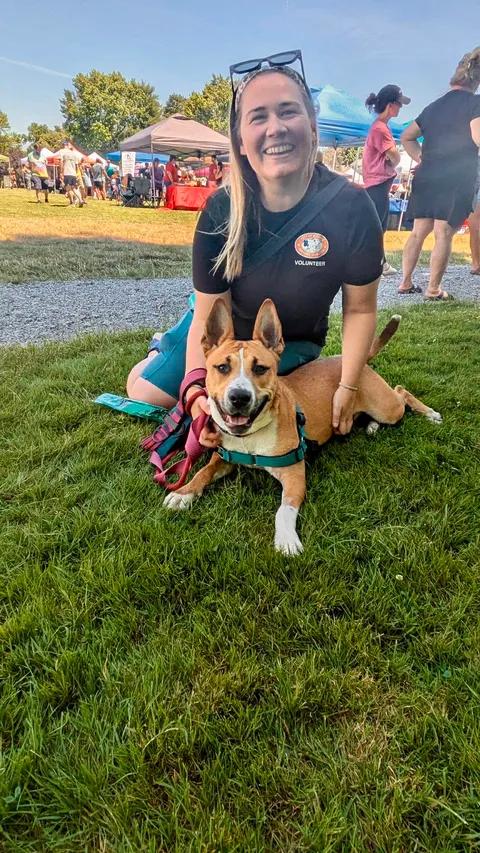 Odie (fka OG), a ADOPTABLE mixed breed in Buffalo, NY image 2/6