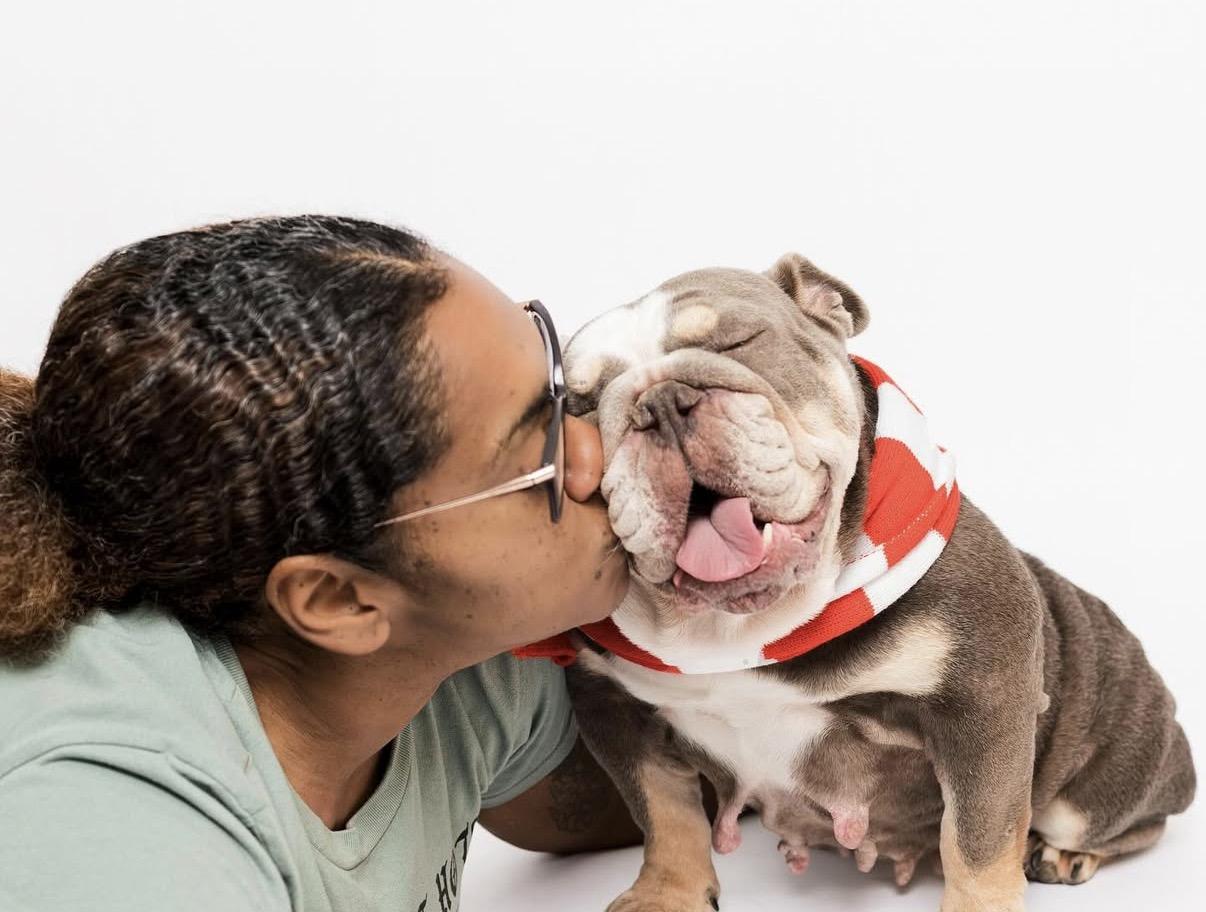 Enlarge Millie, a Adoptable mixed breed in Rocklin, CA image 4/6