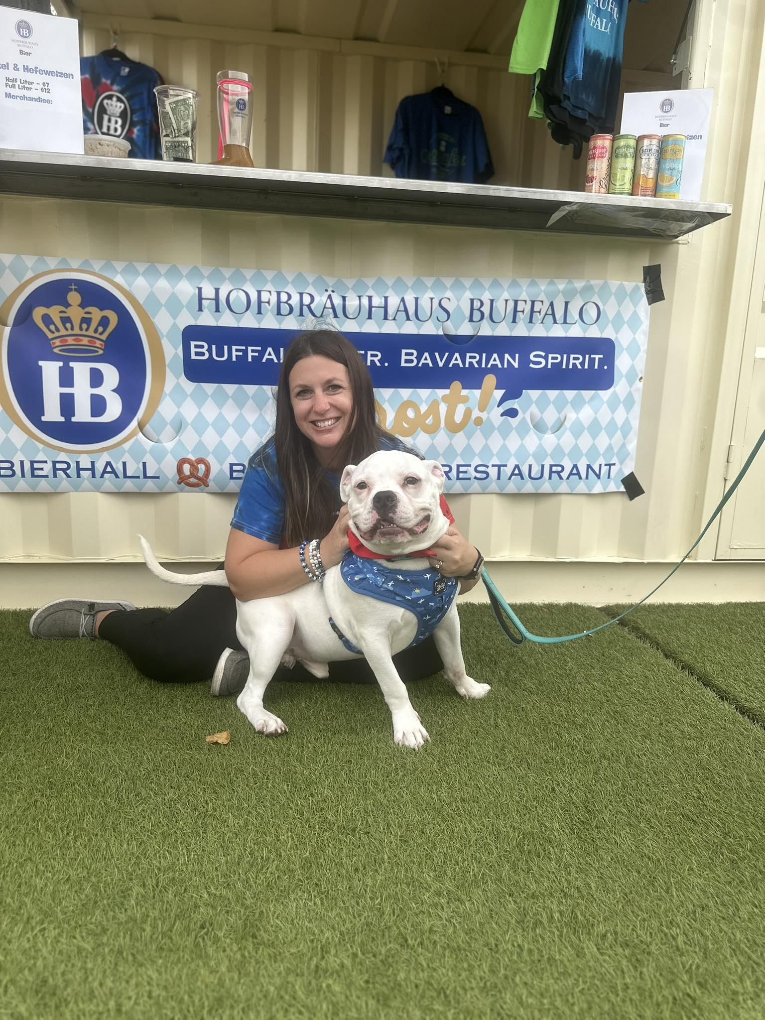 Bowser, Adopted, Young Male Bulldog.