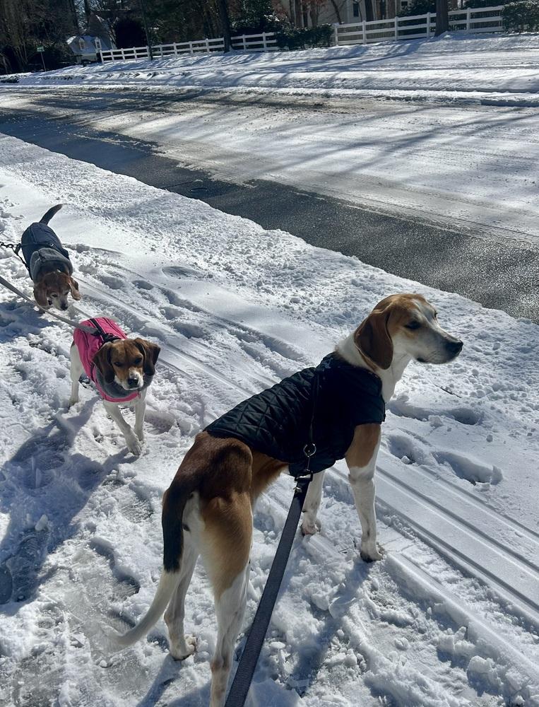 Sandy — thumbnail 3