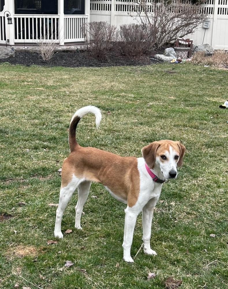 Sandy — thumbnail 6