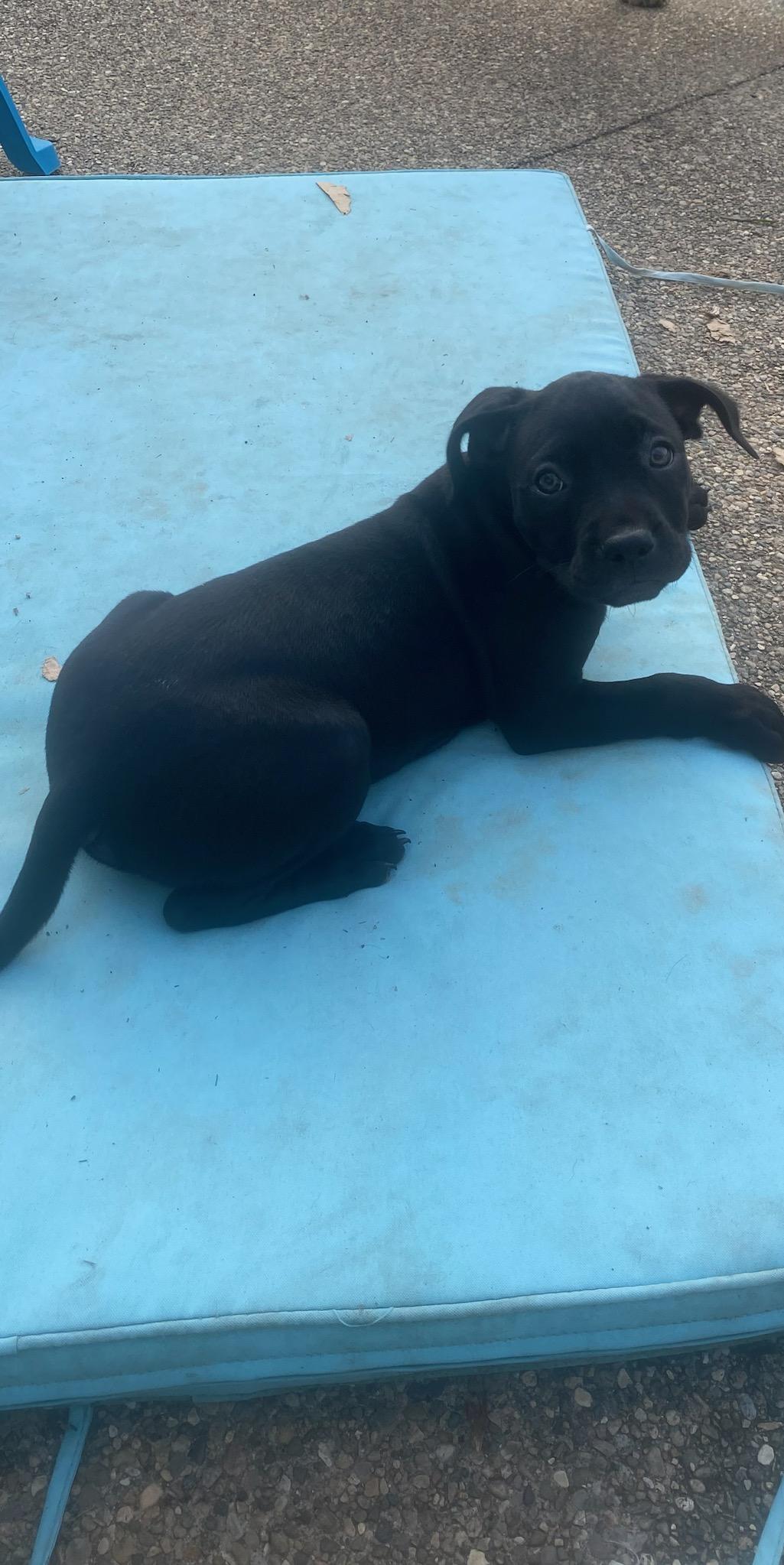 Ziona - In Foster
