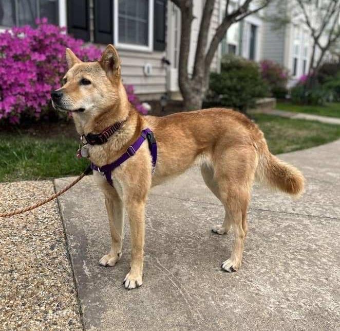 Moxie — thumbnail 4