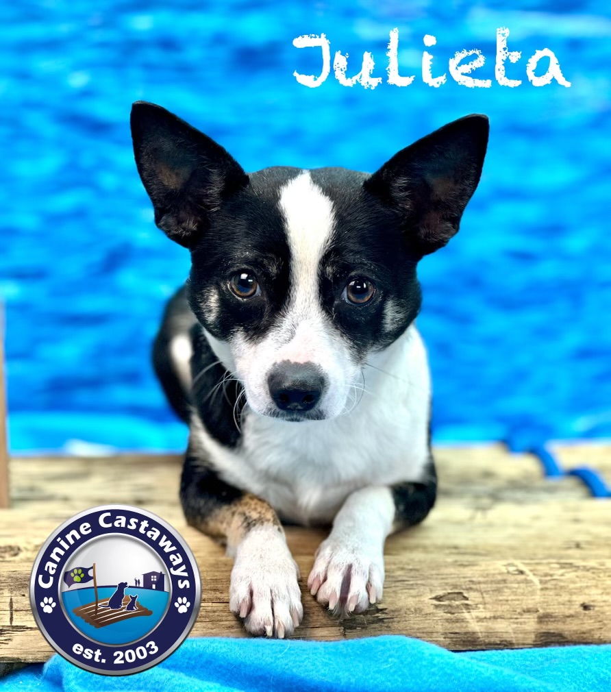Julieta 2