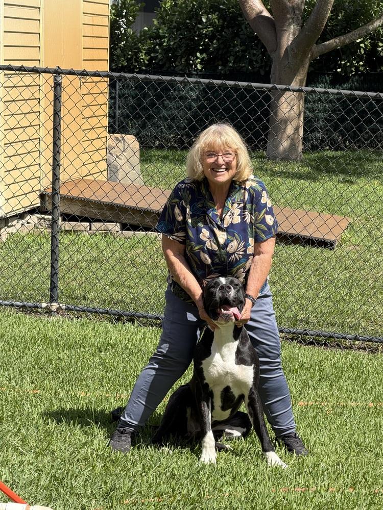 Enlarge Dexter, a Adoptable mixed breed in Fort Lauderdale, FL image 4/6